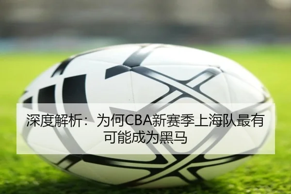 深度解析：为何CBA新赛季上海队最有可能成为黑马